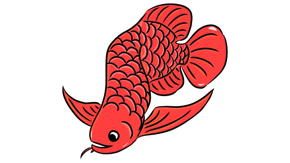Memahami Sifat dan Kebutuhan Ikan Hias